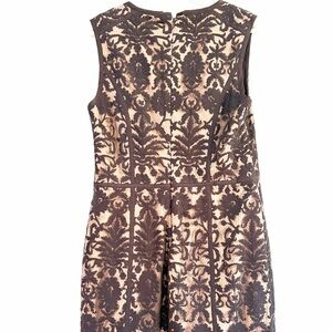 Elegant Black Lace Dress